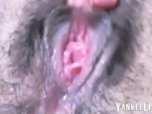 WET AND HAIRY PUSSY