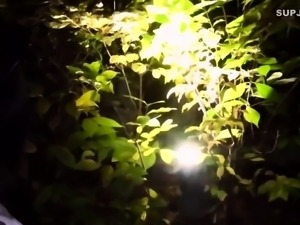 Gift of a whole video that cannot be released to the pu